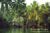 Next: Kerala - Inland Waterway